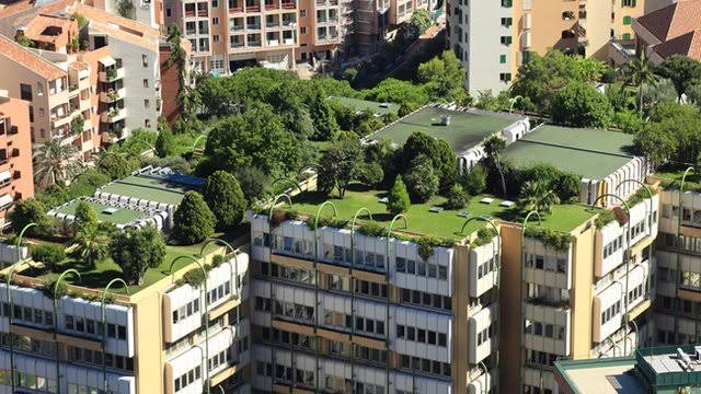 roof-top-garden roof-top-garden