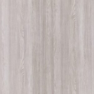WY 7008RM Cicely Rock Elm