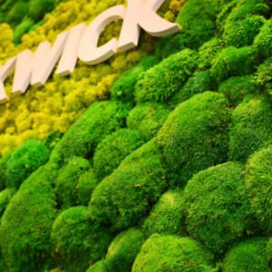 Natural Acoustic Solutions using Preserved Plants