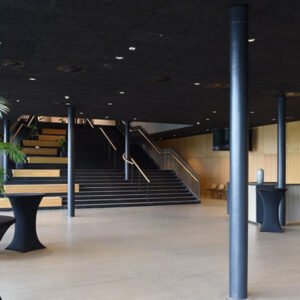  Acoustic Wood Wool Panels